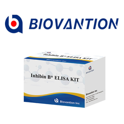 ห้องปฏิบัติการหรือโรงพยาบาล ความละเอียดสูง Inhibin B การตรวจพบทางภูมิคุ้มกัน ELISA TEST KIT