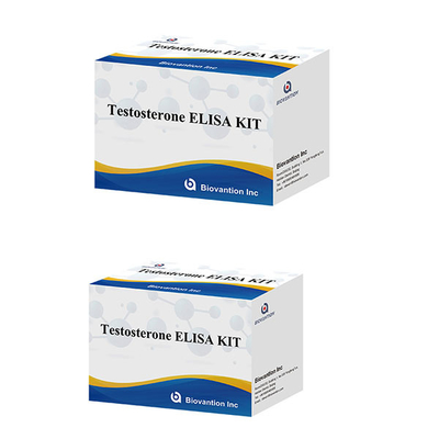 ฮอร์โมนเพศชาย ฮอร์โมนเทอสเตอรอน (ปริมาณ) Elisa Test Kit สําหรับการวินิจฉัย