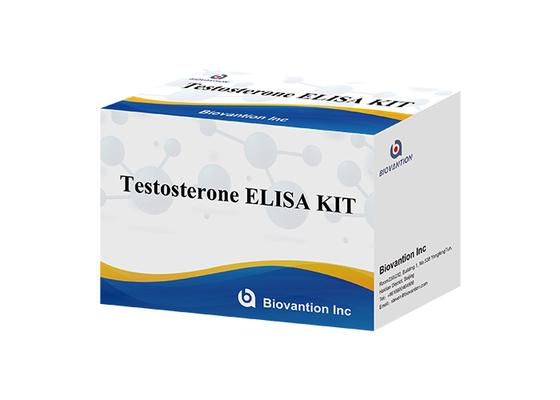 ฮอร์โมนเพศชาย ฮอร์โมนเทอสเตอรอน (ปริมาณ) Elisa Test Kit สําหรับการวินิจฉัย