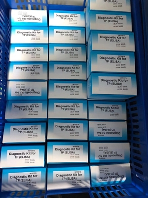 อาการติดเชื้อชายและหญิง ไซฟิลิสสูง TP Ab แอนติบอดี ELISA TEST KIT