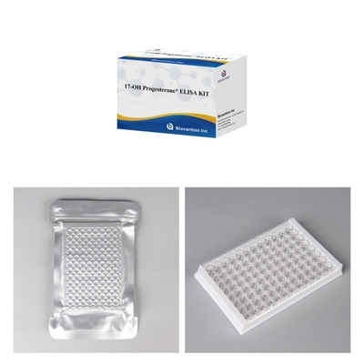 17-OH โปรเจสเตอรอนหลั่งในอินวิทโร การวินิจฉัย Elisa Test Kit สําหรับผู้หญิงที่มีอุปกรณ์เสริม การทดสอบแม่นยํา