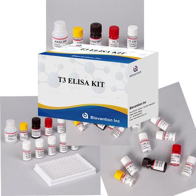 ห้องปฏิบัติการ โรงพยาบาล คลินิก ใช้ทั่วไป T3 Triiodothyronine ELISA TEST KIT