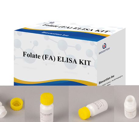 หน่วยตรวจความรู้สึกสูงของระบบภูมิคุ้มกันที่เชื่อมโยงกับเอ็นไซม์ Folate Elisa