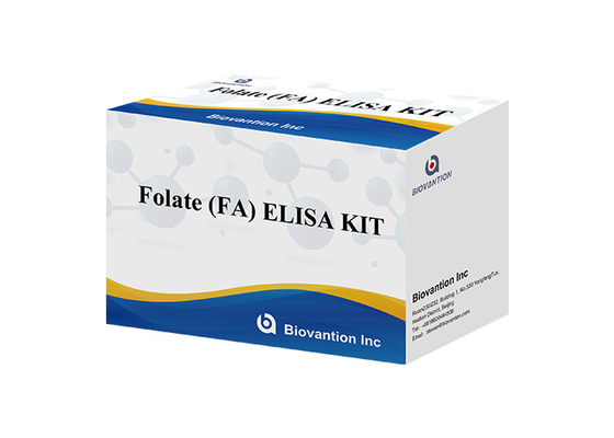หน่วยตรวจความรู้สึกสูงของระบบภูมิคุ้มกันที่เชื่อมโยงกับเอ็นไซม์ Folate Elisa