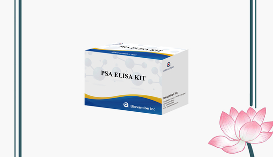 ชุดทดสอบ PSA Elisa สําหรับการตรวจสอบอานติเจนเฉพาะต่อต่อมลูกหมาก PSA Enzyme-Linked Immunosorbent