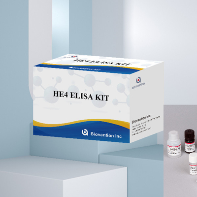 Enzyme-Linked Kit Immunoassay HE4 โปรตีน 4 ELISA ของเอพีดีดิมิสมนุษย์