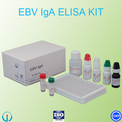 EBV-VCA IgA Ab ELISA Teat Kit คู่มือตรวจสอบการทดสอบภูมิคุ้มกัน