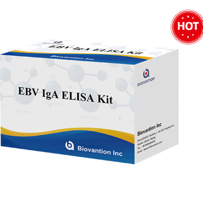 EBV-VCA IgA Ab ELISA Teat Kit คู่มือตรวจสอบการทดสอบภูมิคุ้มกัน