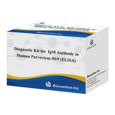 ชุดวินิจฉัยสําหรับมนุษย์ Parvovirus B19 IgM แอนติบอดี Elisa Test Kit With 96T