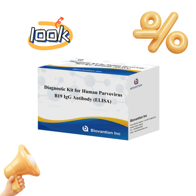 ชุดวินิจฉัยสําหรับมนุษย์ Parvovirus B19 IgM แอนติบอดี Elisa Test Kit With 96T