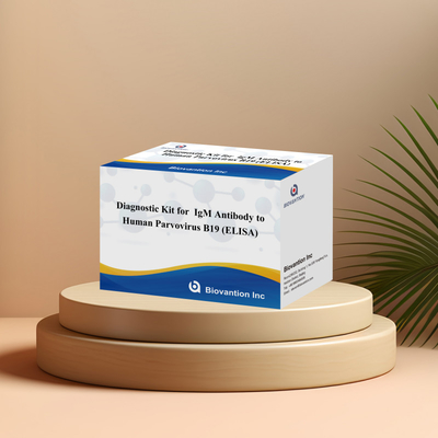 ชุดวินิจฉัยสําหรับมนุษย์ Parvovirus B19 IgM แอนติบอดี Elisa Test Kit With 96T