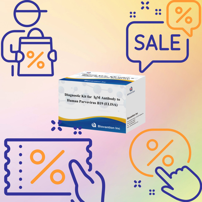 ชุดวินิจฉัยสําหรับมนุษย์ Parvovirus B19 IgM แอนติบอดี Elisa Test Kit With 96T