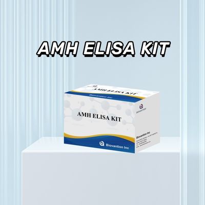การทดสอบ ELISA ฮอร์โมนต้านมูลเลอร์