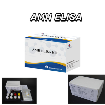 การอนุมัติ CE สําหรับการใช้ในมนุษย์ โรมออนมูลเลอร์ต้านทาน (AMH) เครื่องตรวจ ELISA กล่องตรวจเลือดหรือกรดเลือด 96T