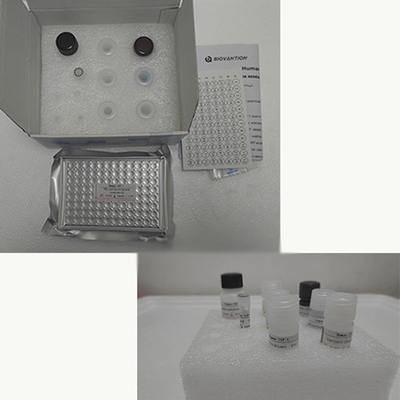 วิตามินอี Elisa Test Kit Of Enzyme- Linked Product RESEARCH ใช้เฉพาะการทดสอบสัตว์