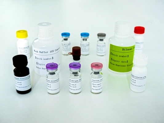 Mycobacterium Tuberculosis กลุ่มเซลล์ T สาธารณภาพการตอบสนองทางภูมิคุ้มกัน