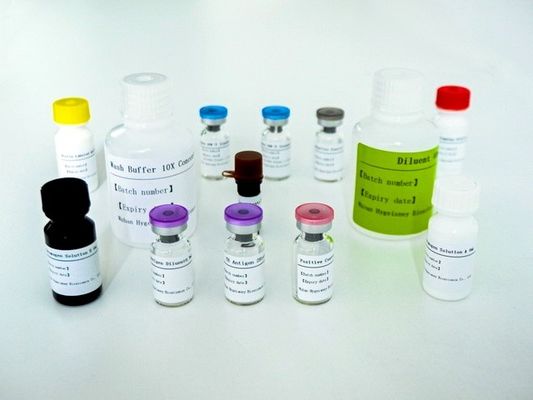 เซรั่ม พลาสมา TB-IGRA