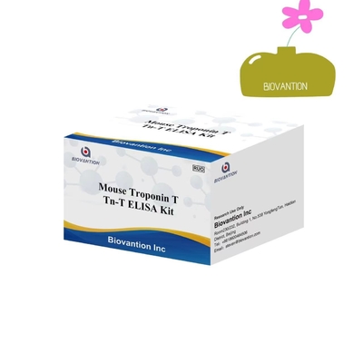 กล่องตัวทดลอง ELISA ความแม่นยําสูง ทรอปอนิน I (( CTnl)