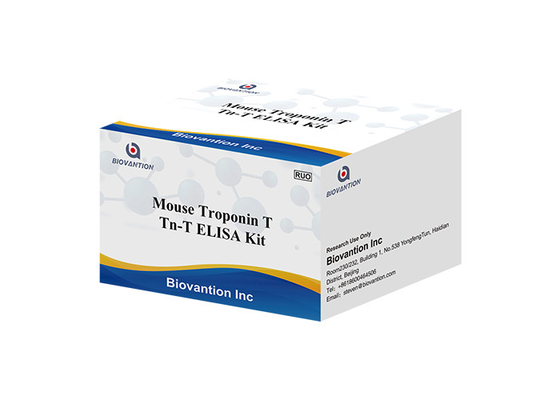 กล่องตัวทดลอง ELISA ความแม่นยําสูง ทรอปอนิน I (( CTnl)
