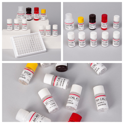 TSH ((Quantitative) อ่อนโยนและเฉพาะ Elisa Test Kit สําหรับโรคต่อมไทรอยด์