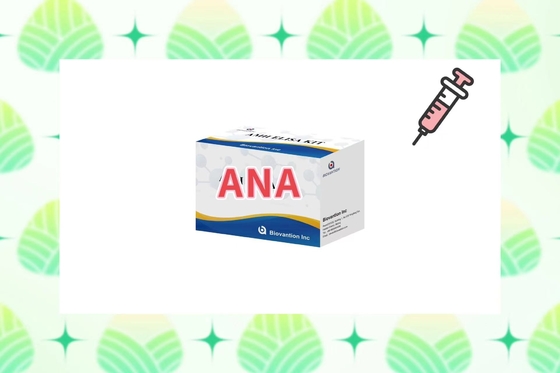 ความรู้สึก ANA Screen IgG Elisa Test Kit สําหรับการตรวจหาเซรั่ม/พลาสมา ในอุณหภูมิ 2-8 °C