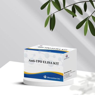แอนติบอดีไทรอยด์เพอร์ออกซิเดสที่รู้สึก Elisa Test Kit สําหรับการวินิจฉัยคน