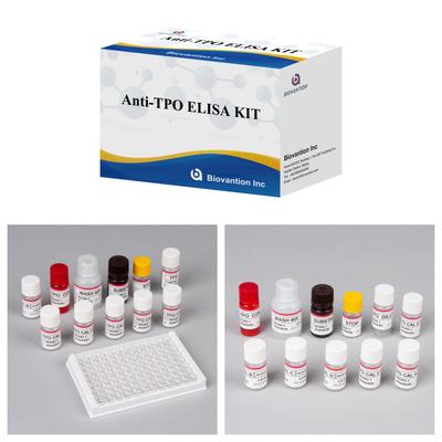 แอนติบอดีไทรอยด์เพอร์ออกซิเดสที่รู้สึก Elisa Test Kit สําหรับการวินิจฉัยคน