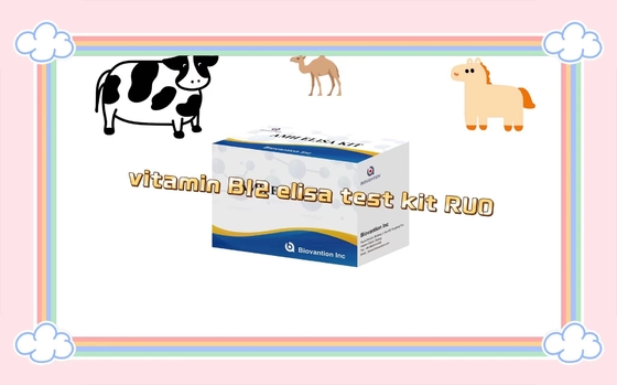 วิตามินบี 12 Elisa Test Kit Of Enzyme- Linked Product RESEARCH ใช้เฉพาะการทดสอบสัตว์