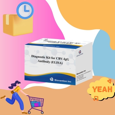 ชุดวินิจฉัยความรู้สึกสําหรับ CBV-IgG แอนติบอดีมนุษย์ตรวจสอบ Elisa Kits สําหรับการตรวจสอบชนิดตัวอย่างที่แม่นยํา