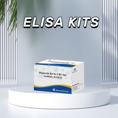 ชุดวินิจฉัยความรู้สึกสําหรับ CBV-IgG แอนติบอดีมนุษย์ตรวจสอบ Elisa Kits สําหรับการตรวจสอบชนิดตัวอย่างที่แม่นยํา