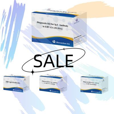 ชุดวินิจฉัยความรู้สึก 2-8 °C สําหรับ IgA แอนติบอด To EBV-EA ELISA Test Kit