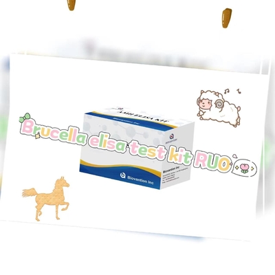 คิททดสอบ Brucella elisa RUO คิททดสอบ Elisa ของผลิตภัณฑ์ที่เชื่อมโยงกับเอ็นไซม์