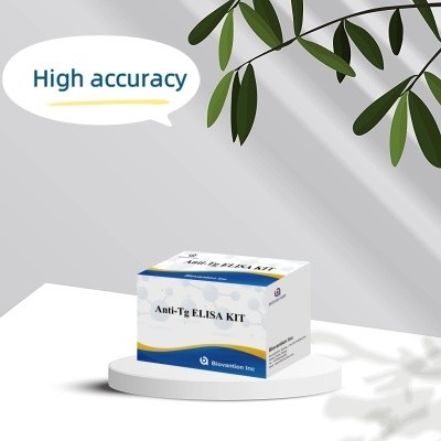 Elisa Diagnostic Kit For Human Antithyroglobulin Antibodies Anti-Tg สําหรับโรงพยาบาลและห้องทดลอง
