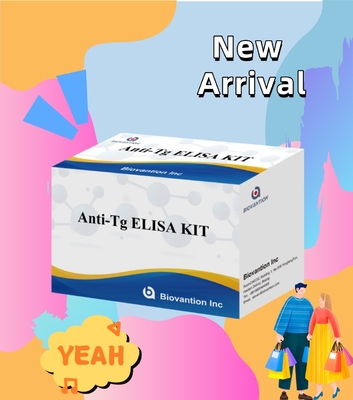 Elisa Diagnostic Kit For Human Antithyroglobulin Antibodies Anti-Tg สําหรับโรงพยาบาลและห้องทดลอง