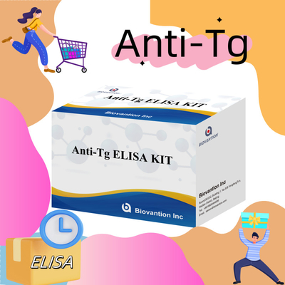 Elisa Diagnostic Kit For Human Antithyroglobulin Antibodies Anti-Tg สําหรับโรงพยาบาลและห้องทดลอง