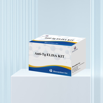 Elisa Diagnostic Kit For Human Antithyroglobulin Antibodies Anti-Tg สําหรับโรงพยาบาลและห้องทดลอง