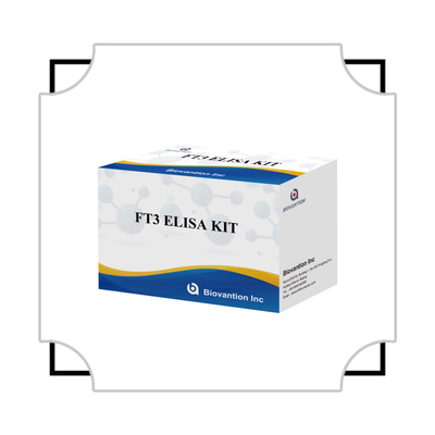FT3 ฟรีไทยโอโดธีโรนีน สําหรับคิทสารวินิจฉัยการวินิจฉัยในมนุษย์ พร้อมการทดสอบ ELISA 96T สําหรับห้องปฏิบัติการโรงพยาบาลคลินิก