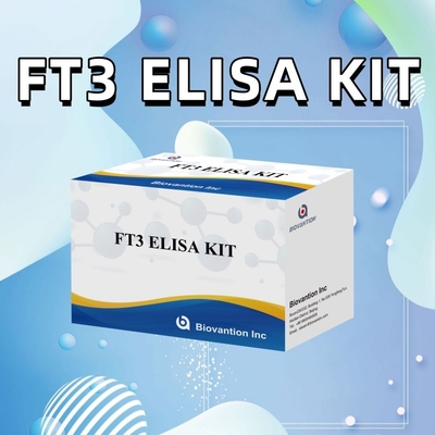 FT3 ฟรีไทยโอโดธีโรนีน สําหรับคิทสารวินิจฉัยการวินิจฉัยในมนุษย์ พร้อมการทดสอบ ELISA 96T สําหรับห้องปฏิบัติการโรงพยาบาลคลินิก