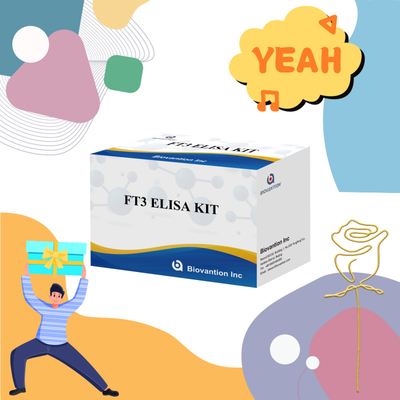 FT3 ฟรีไทยโอโดธีโรนีน สําหรับคิทสารวินิจฉัยการวินิจฉัยในมนุษย์ พร้อมการทดสอบ ELISA 96T สําหรับห้องปฏิบัติการโรงพยาบาลคลินิก