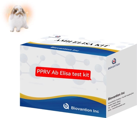Peste Des Petits Ruminants PPRV Ab ELISA Kit ชุดทดสอบทางสัตวแพทย์