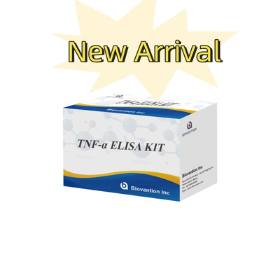 TNF-α RUO Elisa Test For Serum Plasma การวินิจฉัยที่แม่นยําและสะดวกสบายสําหรับการวิจัย