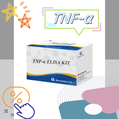 TNF-α RUO Elisa Test For Serum Plasma การวินิจฉัยที่แม่นยําและสะดวกสบายสําหรับการวิจัย