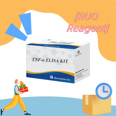 TNF-α RUO Elisa Test For Serum Plasma การวินิจฉัยที่แม่นยําและสะดวกสบายสําหรับการวิจัย