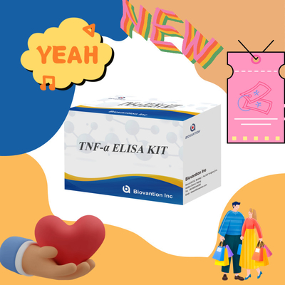 TNF-α RUO Elisa Test For Serum Plasma การวินิจฉัยที่แม่นยําและสะดวกสบายสําหรับการวิจัย