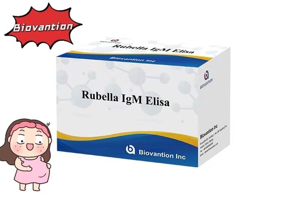 สิวเบลล่า IgM ELisa Test Kit ความสุกรภาพ Eugenic หญิงตั้งครรภ์สิบคนใช้