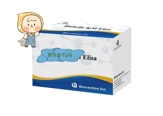 Rubella IgG ELisa Test Kit ความสุกรภาพ Troch ผู้หญิงท้อง ใช้