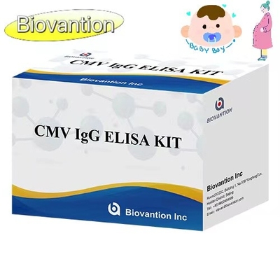 CMV IgG ELISA Kit หญิงตั้งครรภ์ การทดสอบป้องกัน ความแม่นยําสูง