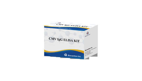 CMV IgG ELISA Kit หญิงตั้งครรภ์ การทดสอบป้องกัน ความแม่นยําสูง