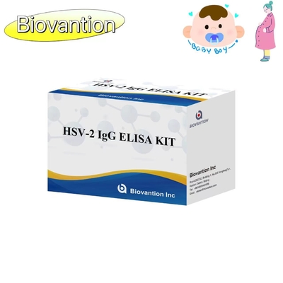 คําแนะนําความแม่นยําสูงสําหรับการใช้ HSV II IgG Torch ELISA
