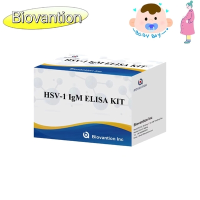 ชุดทดสอบ ELISA ไฟไหม้ HSV 1 IgM สารวัดการวินิจฉัยที่ขายร้อนสูง IVD